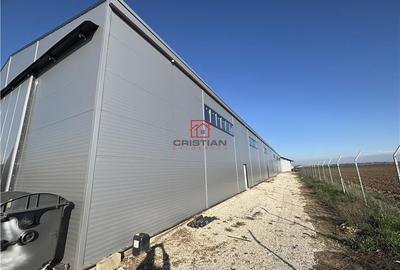 Spațiu comercial, de 600 mp, în Bolintin-Deal - 7