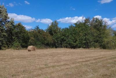 Teren de 10500 mp, în Nadăș