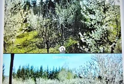 Teren intravilan de 4500 mp, în Izvoarele - 4