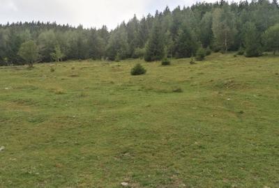 Teren Construcții intravilan de 10000 mp, în Muntele Rece - 1