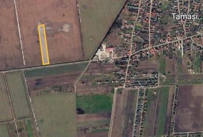 Teren de 14500 mp, în Central