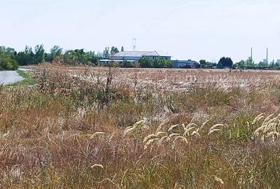 Teren de 600 mp, în Săcălaz