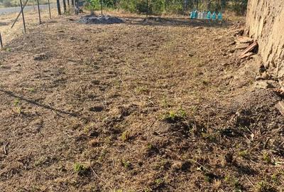 Casă cu Teren 250 Mp în Silvaș - 6