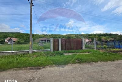 Casă cu 3 camere cu Teren 4234 Mp în Adămuș - 11
