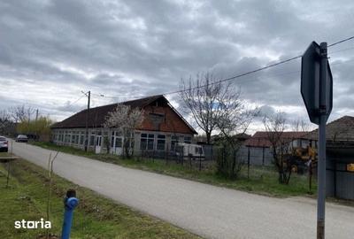 Teren de 400 mp, în Gârla Mare - 3