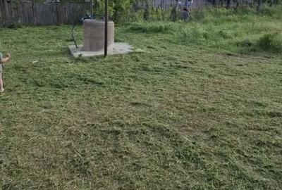 Casă cu 2 camere în Cudalbi - 6