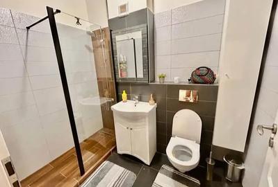 Apartament cu 2 camere decomandat, mobilat în Bucium - 6