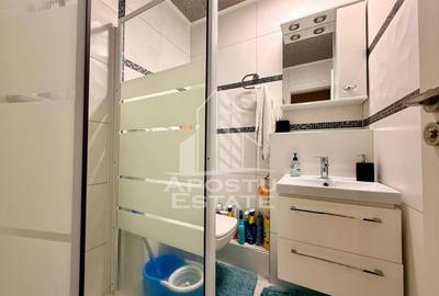Apartament cu 3 camere decomandat, mobilat în Lipovei - 10