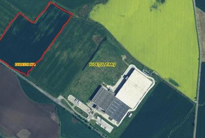 Teren agricol extravilan de 101790 mp, în Dudeștii Noi - 2