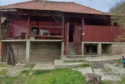 Casă cu 3 camere în Central