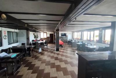 Spațiu comercial, de 150 mp, în Dragomirești - 1