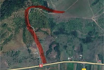 Teren de 480000 mp, în Prunișor