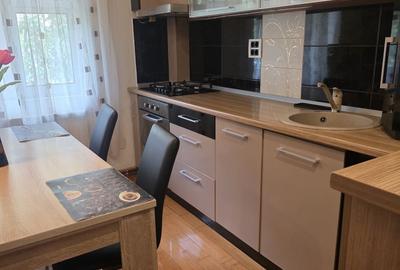 Apartament cu 2 camere semidecomandat în Bârzești - 14