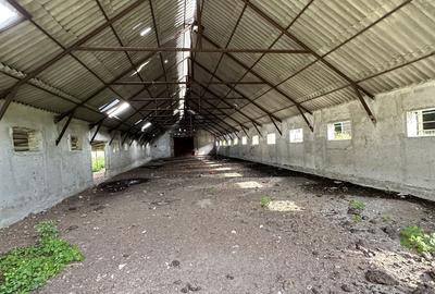 Teren de 115367 mp, în Runcu - 6
