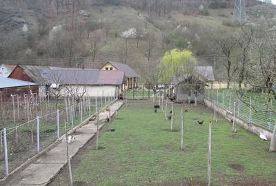 Casă cu 3 camere cu Teren 2900 Mp în Vețel - 8