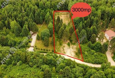 Teren intravilan de 3000 mp, în Porumbacu de Sus - 1