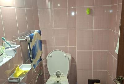 Casă cu 8 camere decomandat cu Teren 1000 Mp în Șcheia - 15