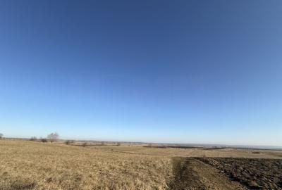 Teren agricol extravilan de 2300 mp, în Est - 1