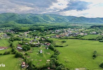 Teren de 2000 mp, în Sadu - 2