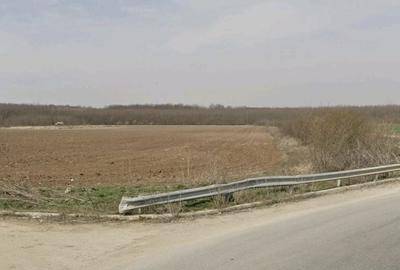 Teren de 4000 mp, în Dragomirești-Deal - 5