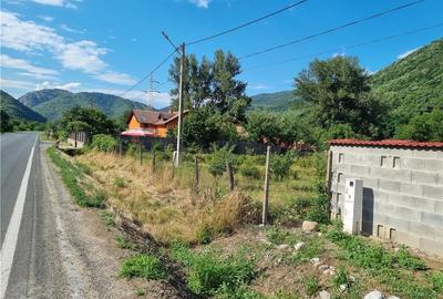 Teren de 650 mp, în Mehadia - 8