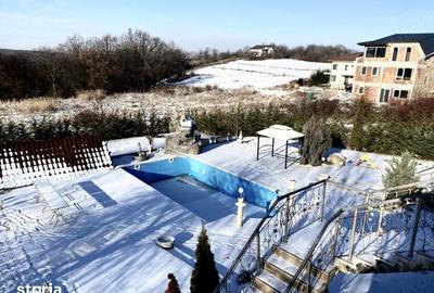 Casă cu 9 camere cu Teren 2000 Mp în Făget - 1