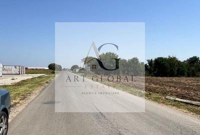 Teren Construcții intravilan de 65600 mp, în Căciulați - 6