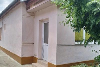 Casă cu 4 camere cu Teren 1507 Mp în Dudeștii Vechi - 9