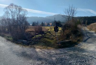 Teren de 6529 mp, în Valea Stânei - 6