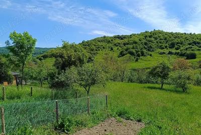 Teren de 2276 mp, în Drăgăneasa - 7
