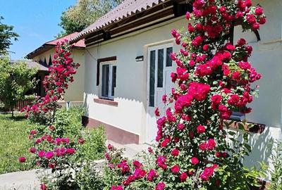 Casă cu Teren 5700 Mp în Gura Foii