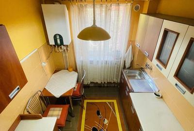 Apartament cu 2 camere în Valea Borcutului - 3