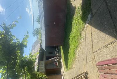 Casă cu Teren 1500 Mp în Ghirdoveni - 5