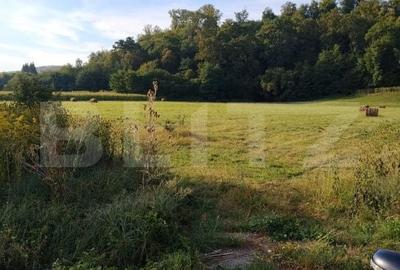 Teren de 2844 mp, în Șieu