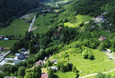 Teren de 1500 mp, în Tulnici - 5