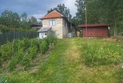 Casă cu Teren 10700 Mp în Obârșia