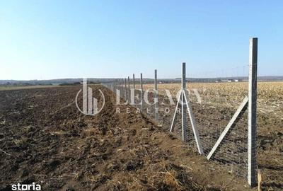 Teren de 30101 mp, în Săbăoani - 3