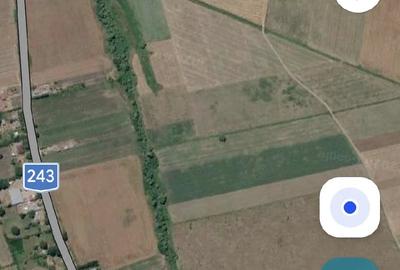 Teren de 240 mp, în Călimănești