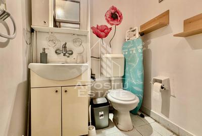Apartament cu 3 camere, mobilat în Alfa - 6