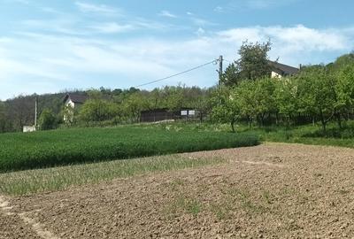 Teren în Micești - 5