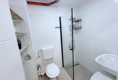 Apartament cu 2 camere decomandat, mobilat în Drumul Taberei - 3