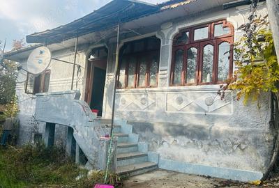 Casă cu 3 camere cu Teren 2872 Mp în Slătioara - 7