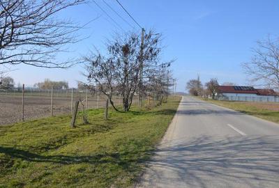 Teren intravilan de 5600 mp, în Mircea Vodă