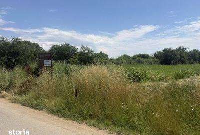 Teren de 8300 mp, în Gruiu - 14