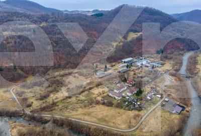 Spațiu industrial, de 5,000 mp, în Bucea - 17