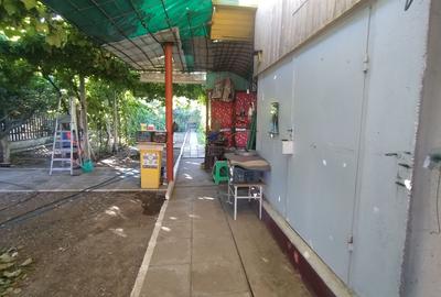 Casă individuală cu 2 camere cu Canalizare în Palazu Mare - 2