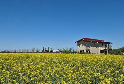 Teren de 5000 mp, în Ciolpani - 15
