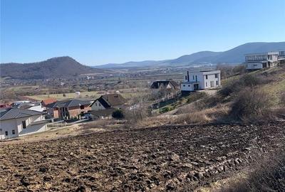 Teren de 6350 mp, în Viișoara