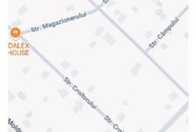 Teren Construcții intravilan de 2000 mp, în Valea Argovei - 3