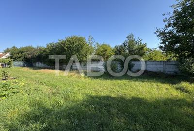 Teren Construcții intravilan de 4783 mp, în Turnișor - 1